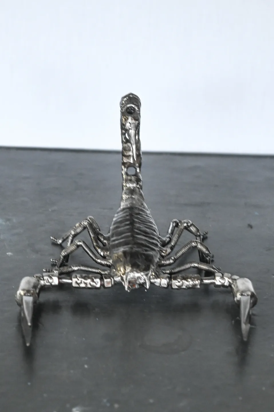 A skeleton of a scorpion sitting on top of a table.